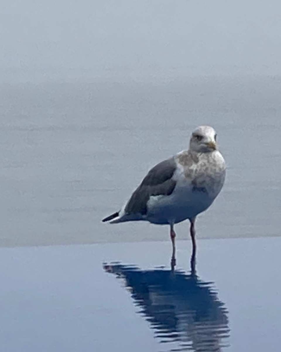 プリセット画像 2